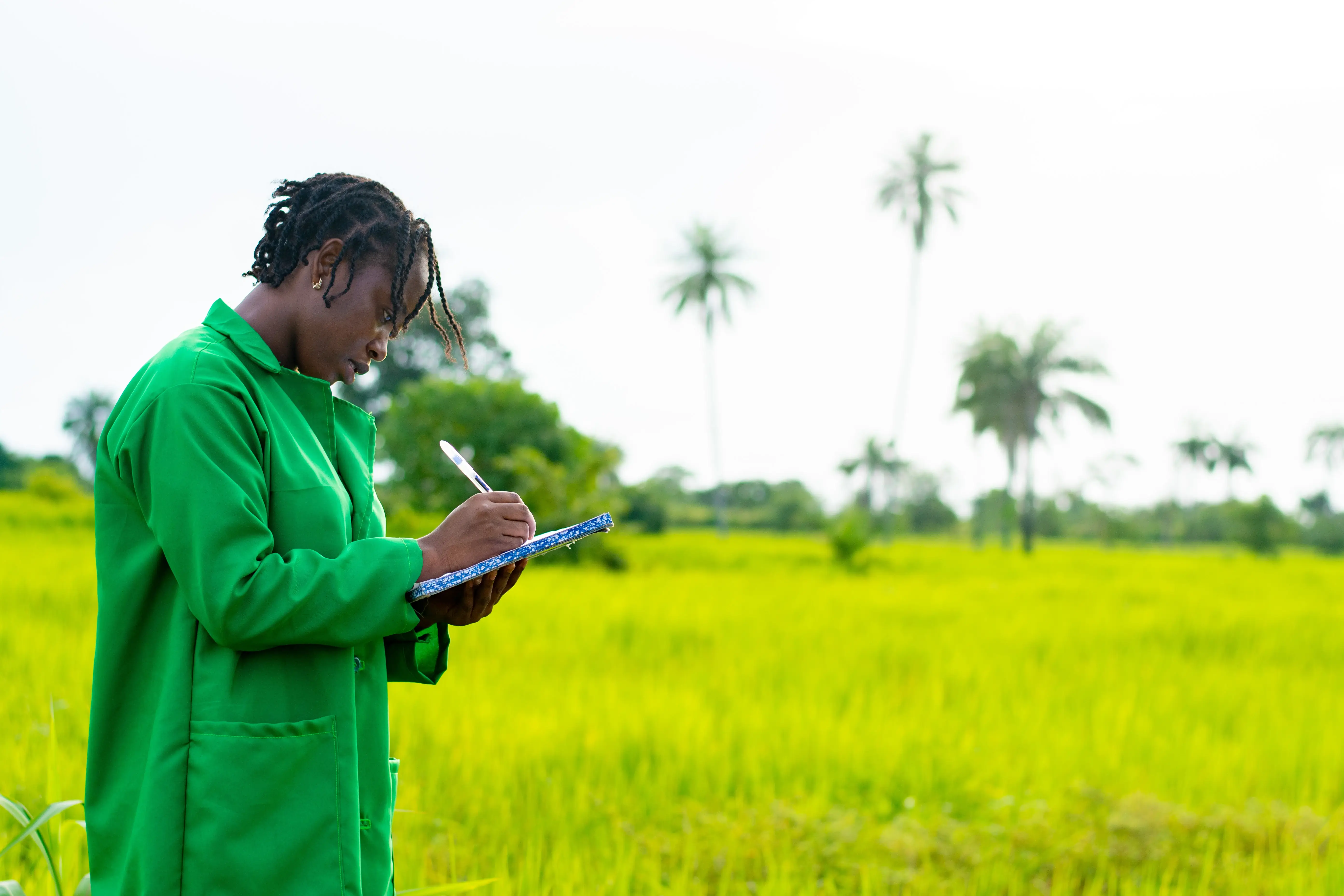 Quality assurance checks on agricultural produce