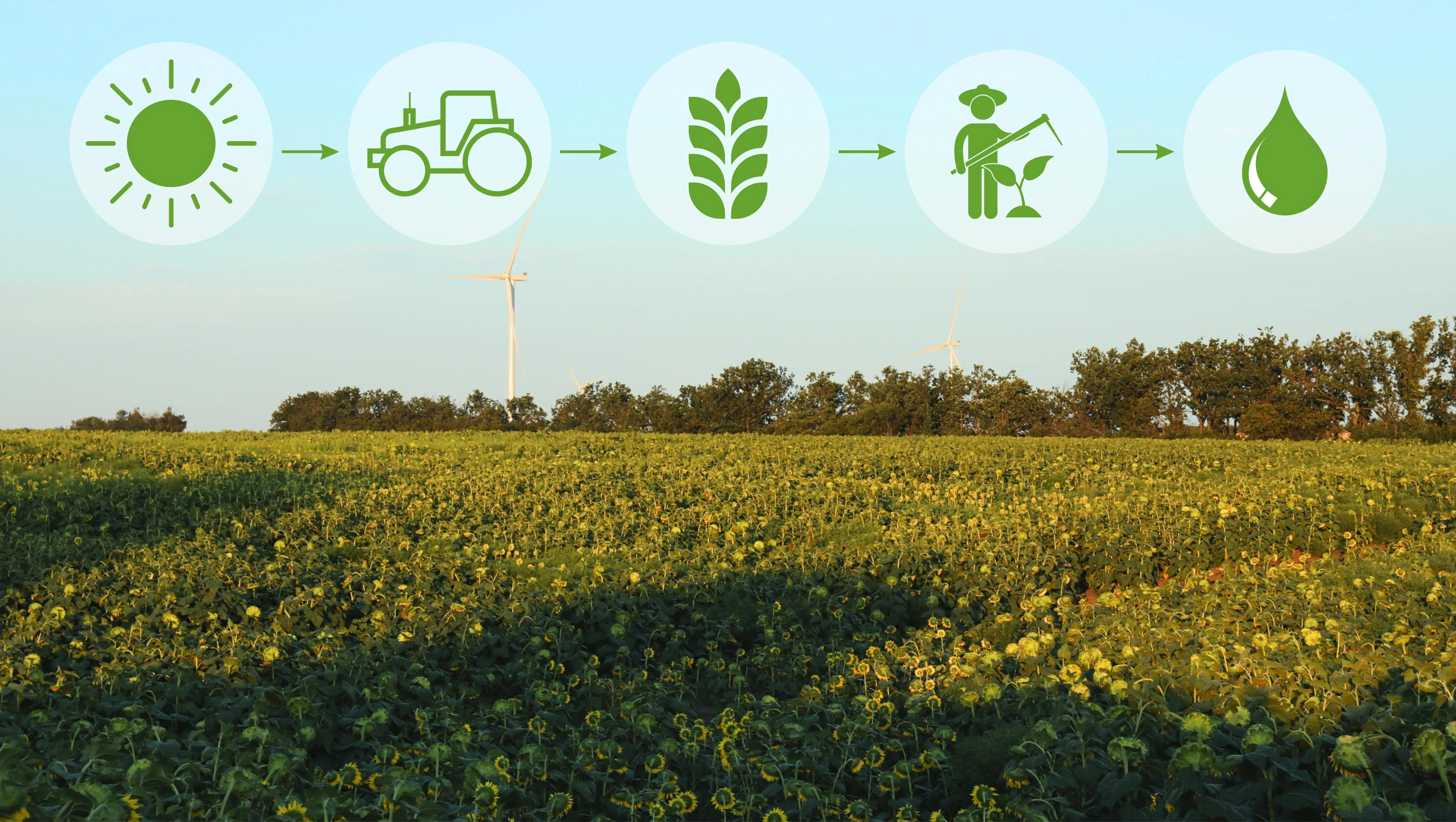 Sustainable farming in Kenya