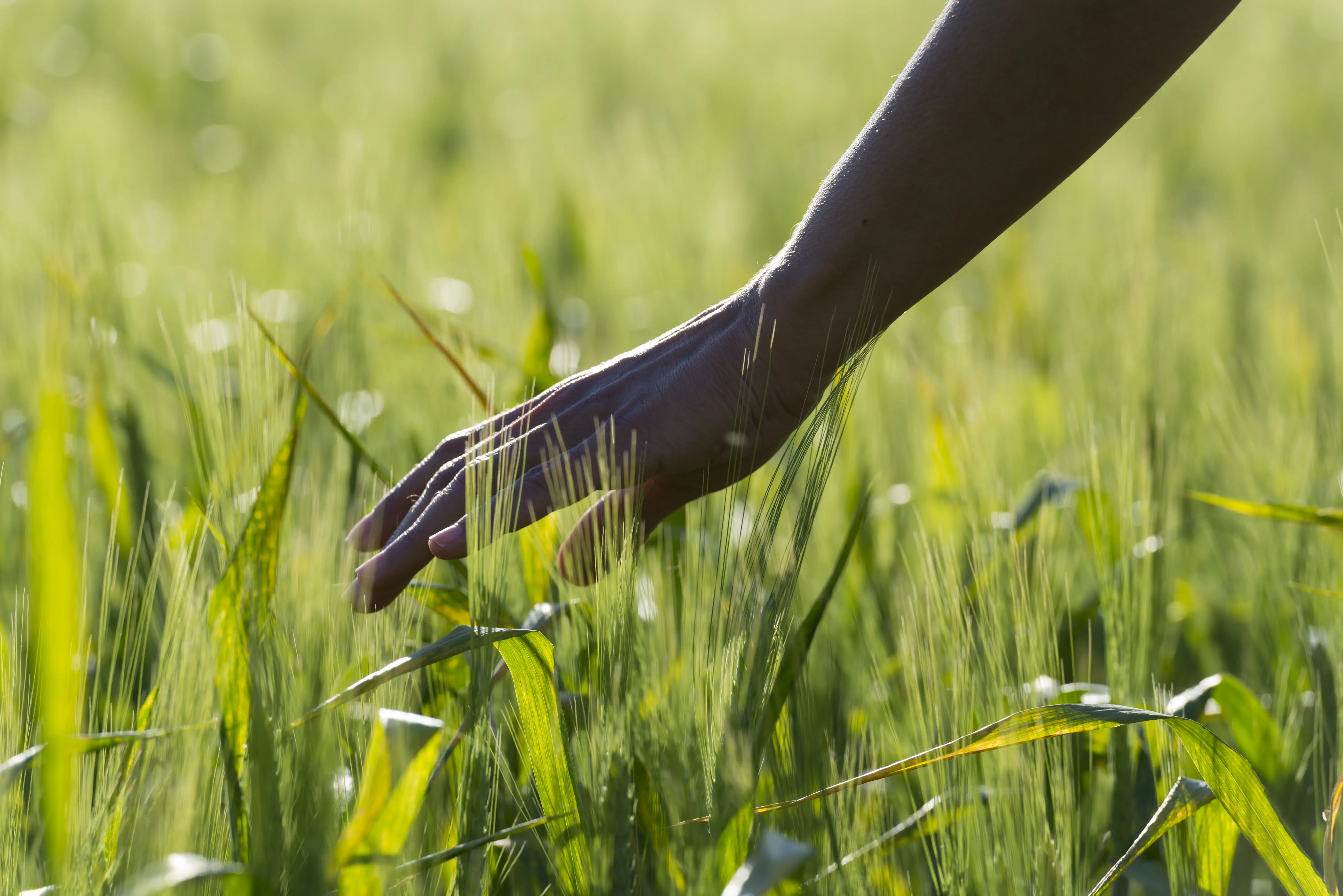 Meaningful impact on Kenyan farming livelihoods