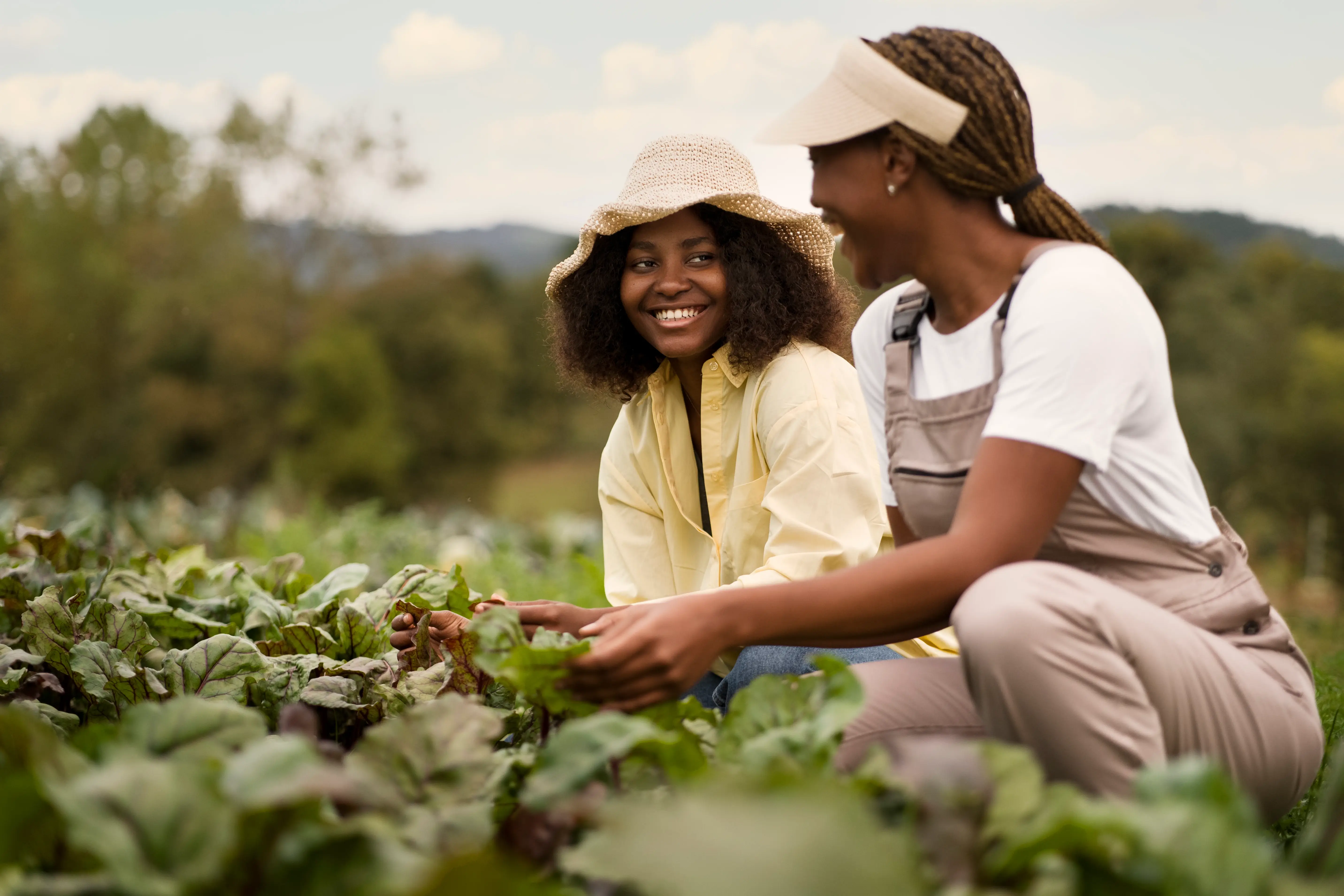 Producers working together on a Kenyan farm