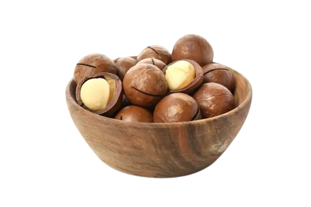 Macadamia