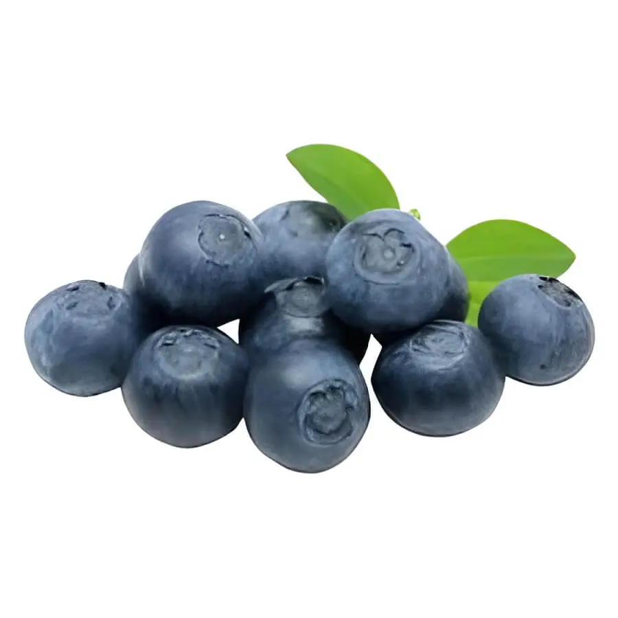 Blueberries