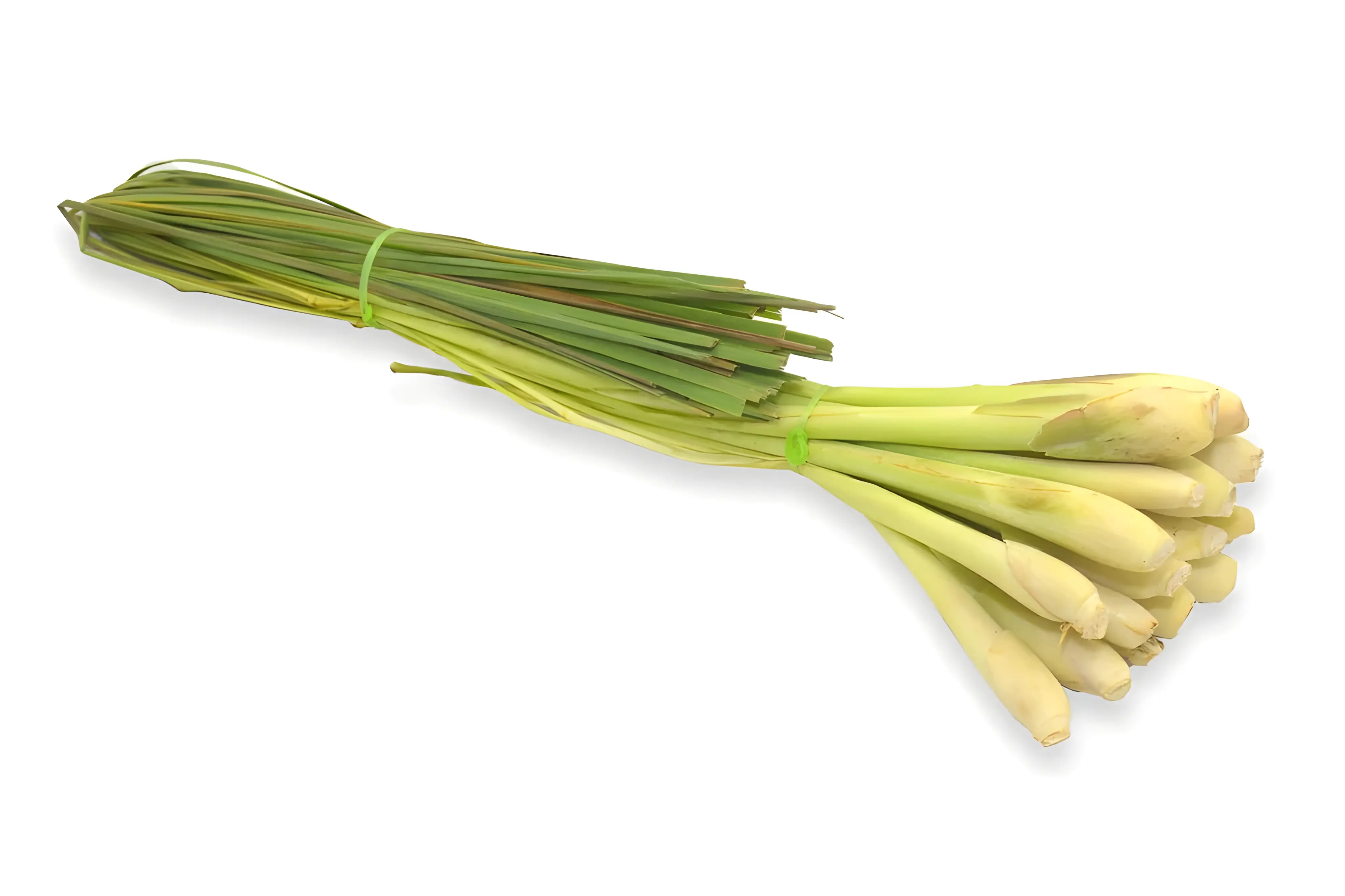Lemon Grass