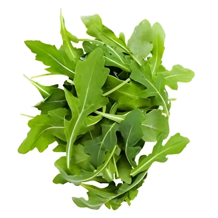 Rocket (Arugula)