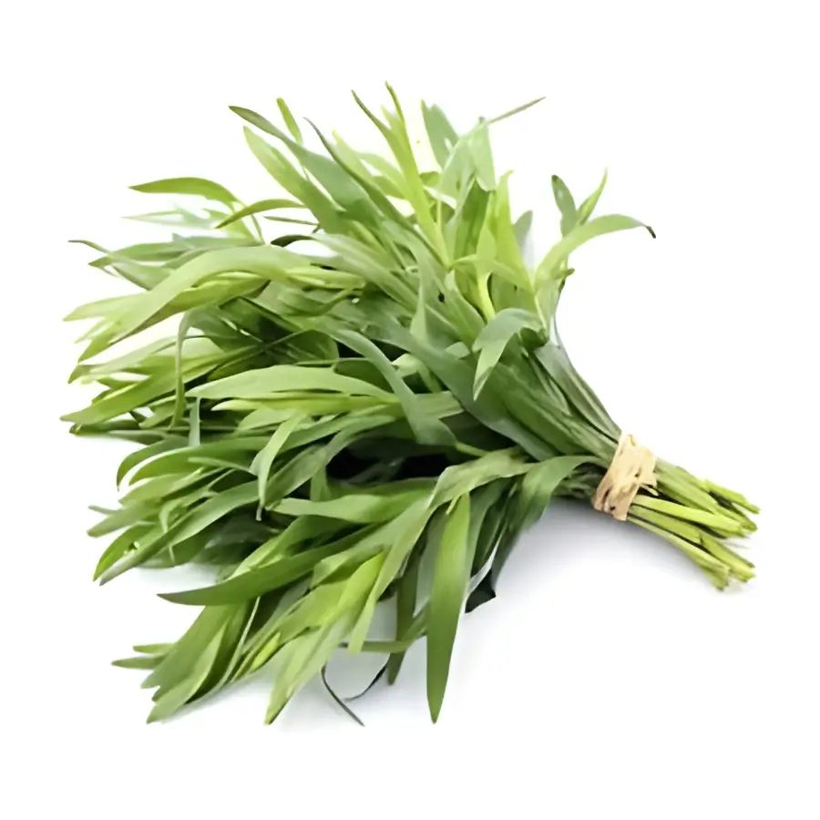 Tarragon