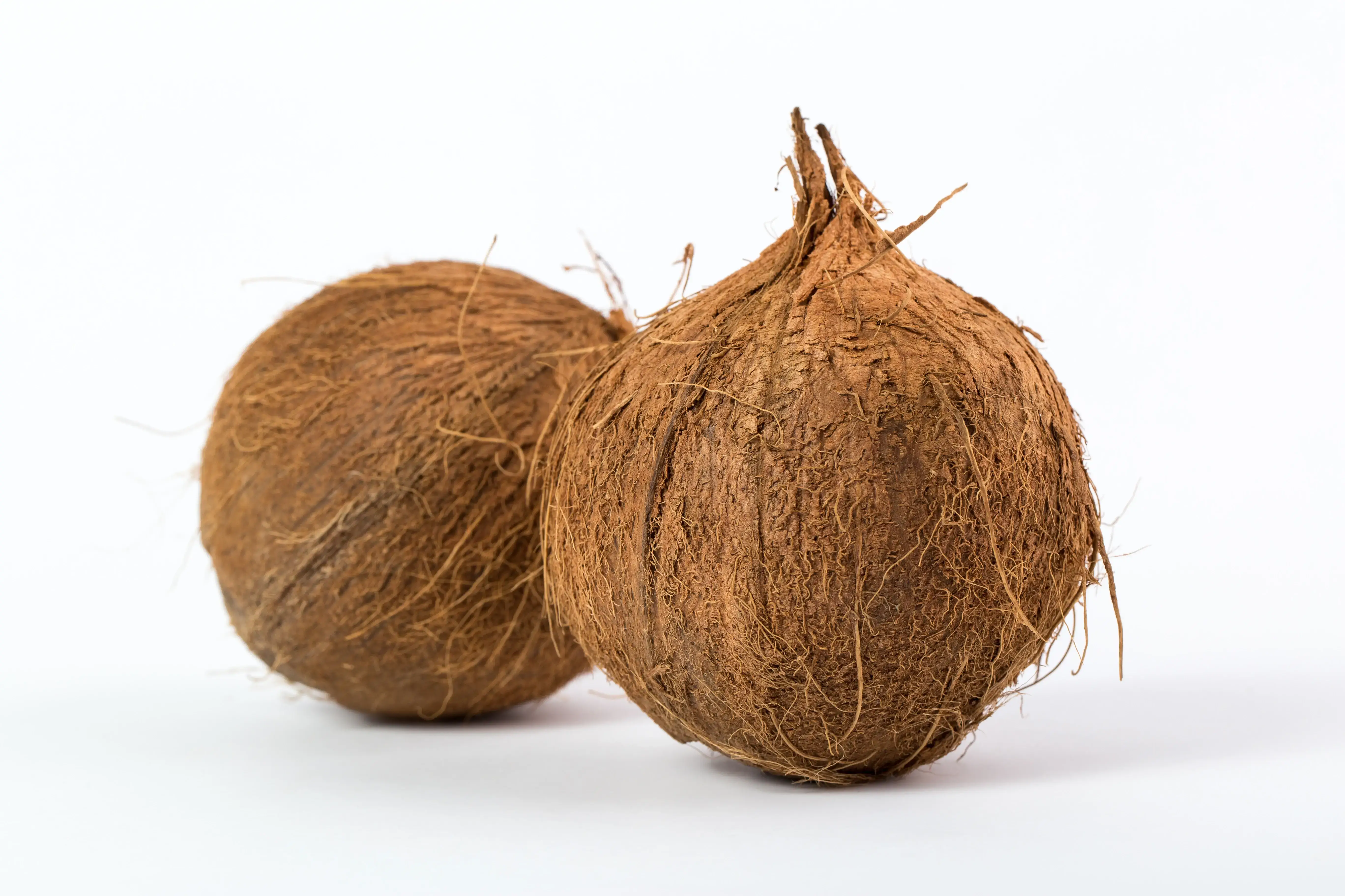Coconuts