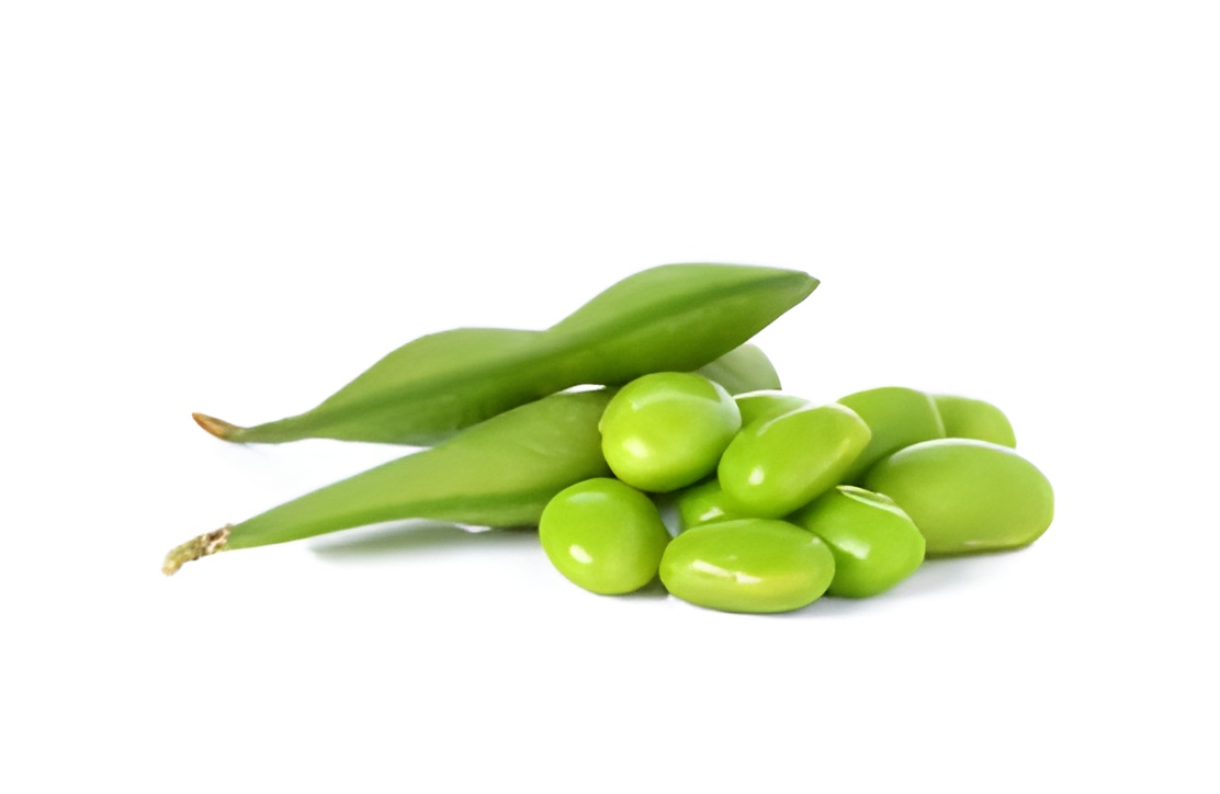 Edamame Beans